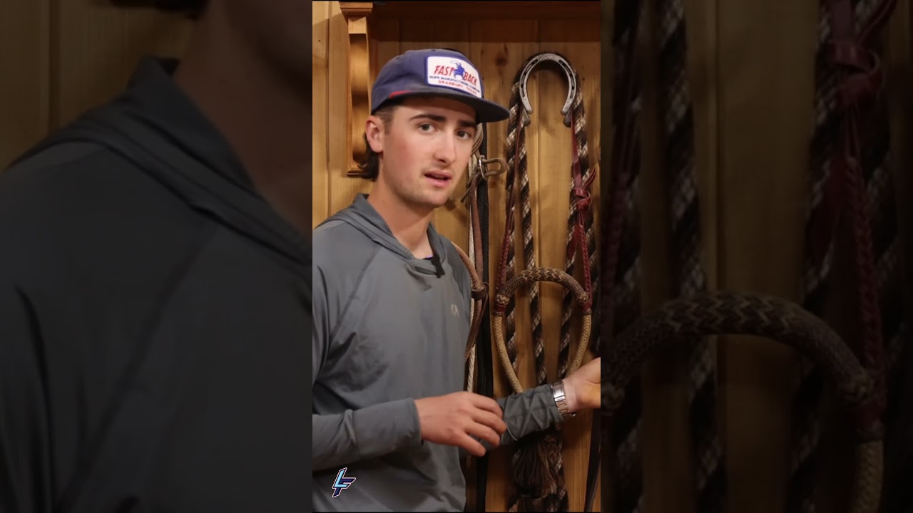 What Bridle to Use - Luca Fappani Shares His Expertise