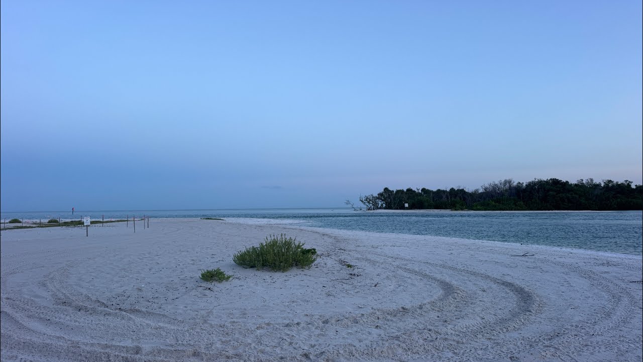 Robb&rsquo;s Friday Morning Sunrise Beach Walk at Wiggins Pass in North Naples, FL (08/07/26)