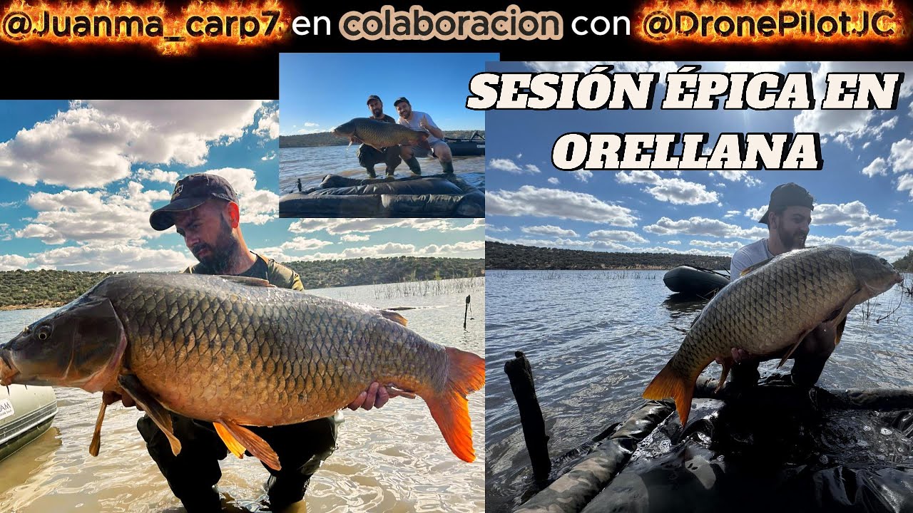 Sesión Épica de Carpfishing en Orellana: Capturas, Tensión y Naturaleza
