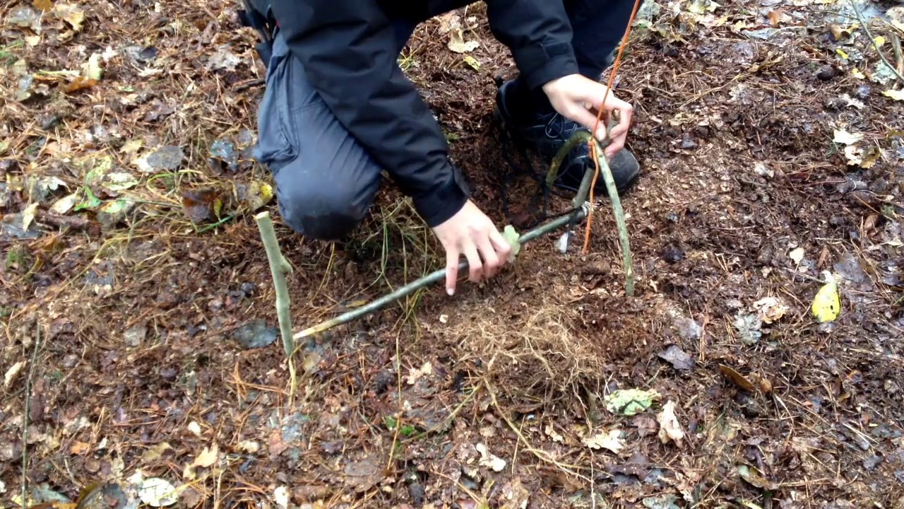 VALLEN: Een dierenval maken | Outdoor Survival
