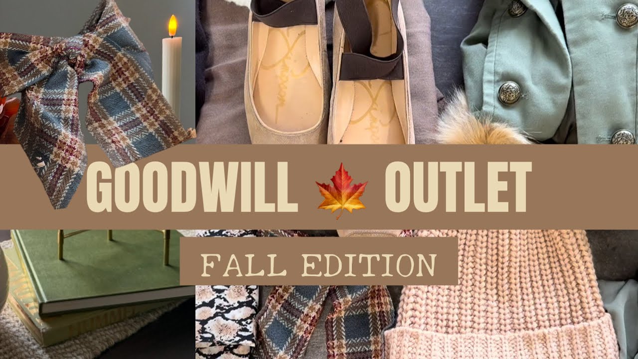 ОСЕНЬНЫЕ МАГАЗИНЫ GOODWILL BINS &mdash; ЭКОНОМ-РАСПРОДАЖА 🍂 | ВИНТАЖНАЯ ОДЕЖДА И ЭСТЕТИЧЕСКИЕ ПРЕДМЕТЫ ...
