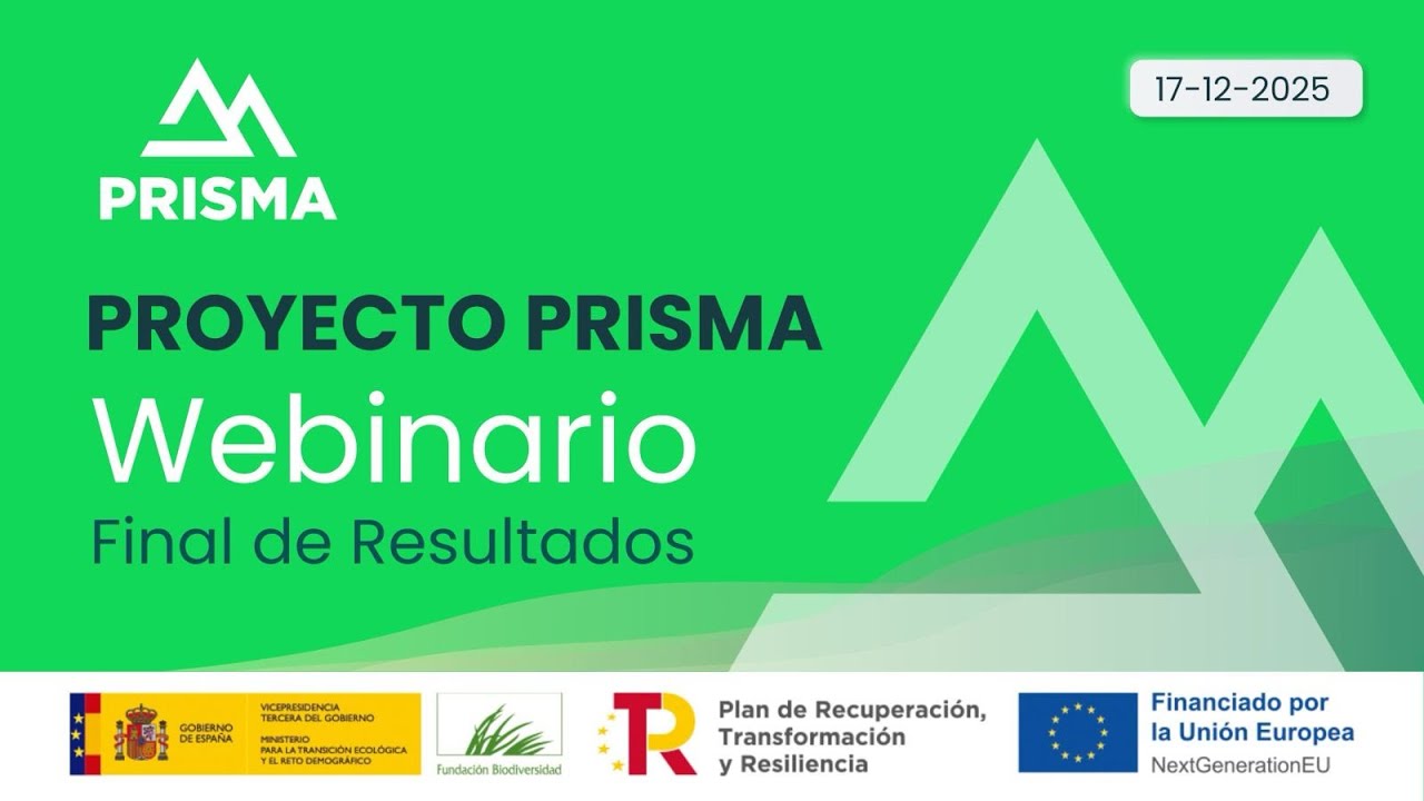 Webinario + Demo Day, presentación de resultados (Euskadi) | Prisma Forestal