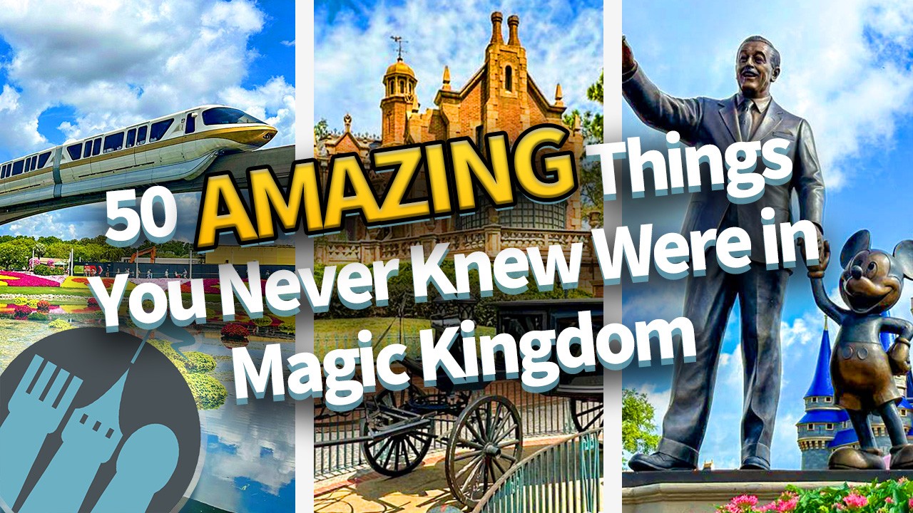 50 AMAZING Things You Never Knew Were in Magic Kingdom