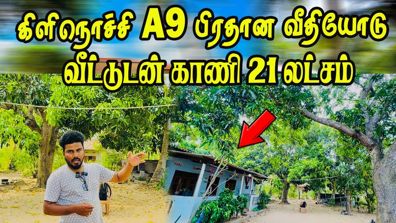கிளிநொச்சி A9 பிரதான வீதியோடு அழகிய வீட்டுடன் காணி மலிவு விலையில் #landsale #jaffna #home #kilinochi