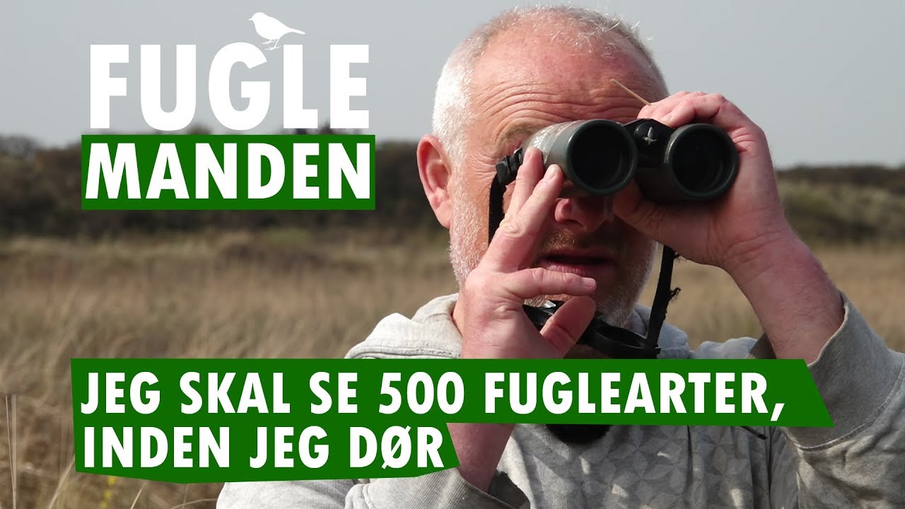 Rolf har valgt fugle frem for børn