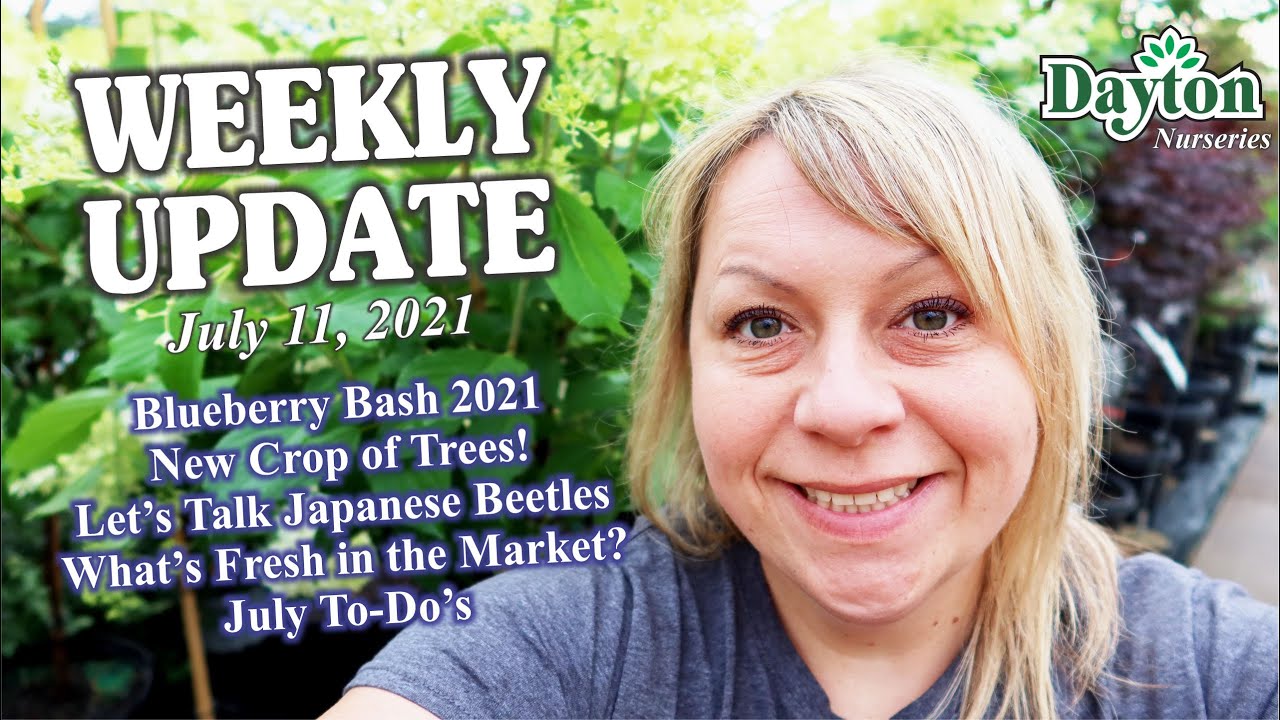 Weekly Update Video 7-11-21 // New Crop Trees + Japanese Beetles + July To-Dos + Blueberry Bash 2021