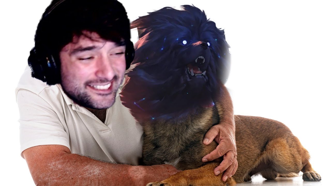 Who's a good STARHOUND | Legends of Runeterra