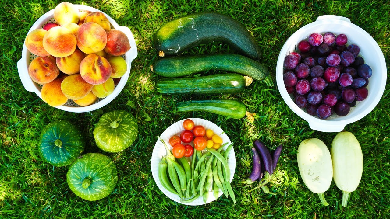1000 Subscribers & Bountiful Harvest from Organic Summer 2018 Garden