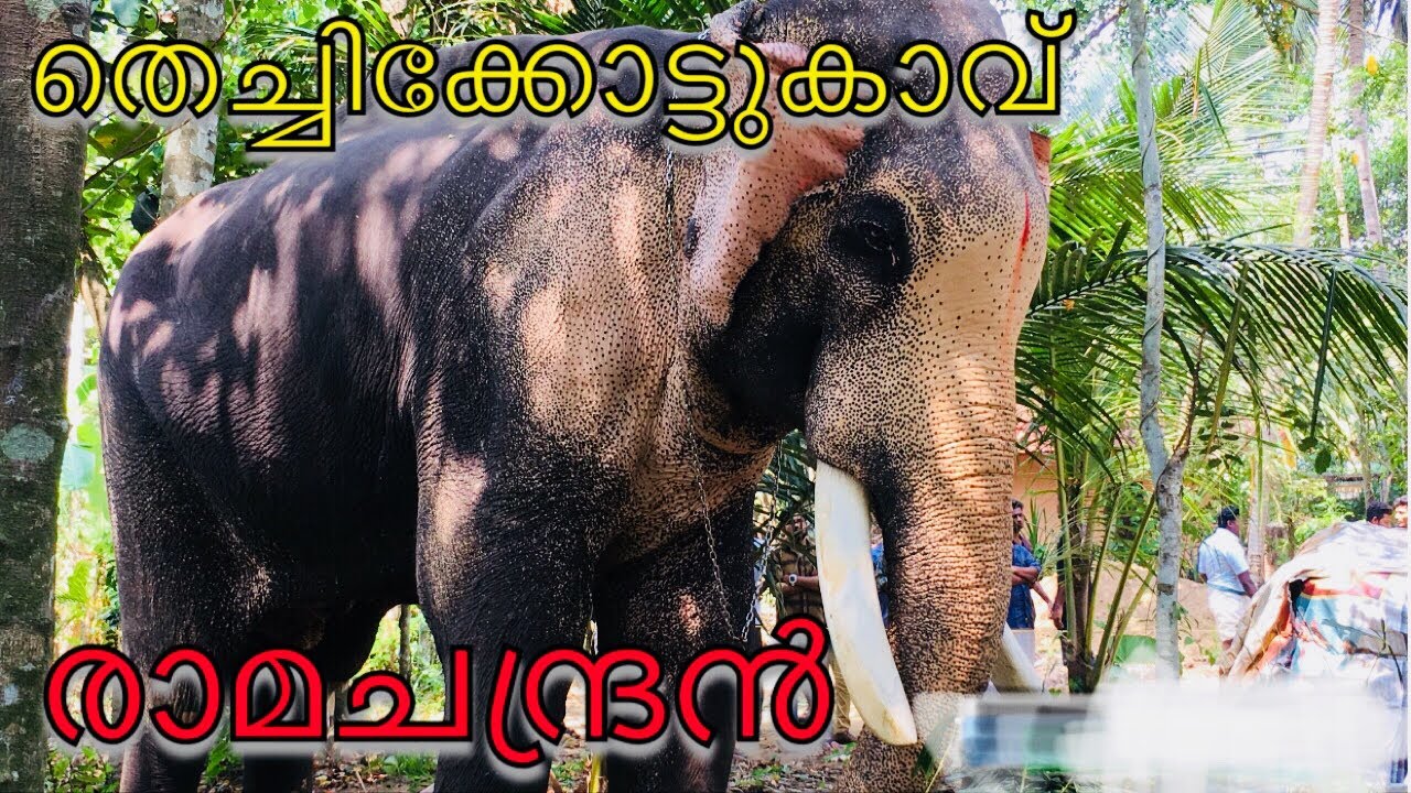 ഏകഛത്രാധിപതി Thechikottukavu Ramachandran Mass Entry @ Kollam Chavara കുമ്പഴക്കാവ് 2018