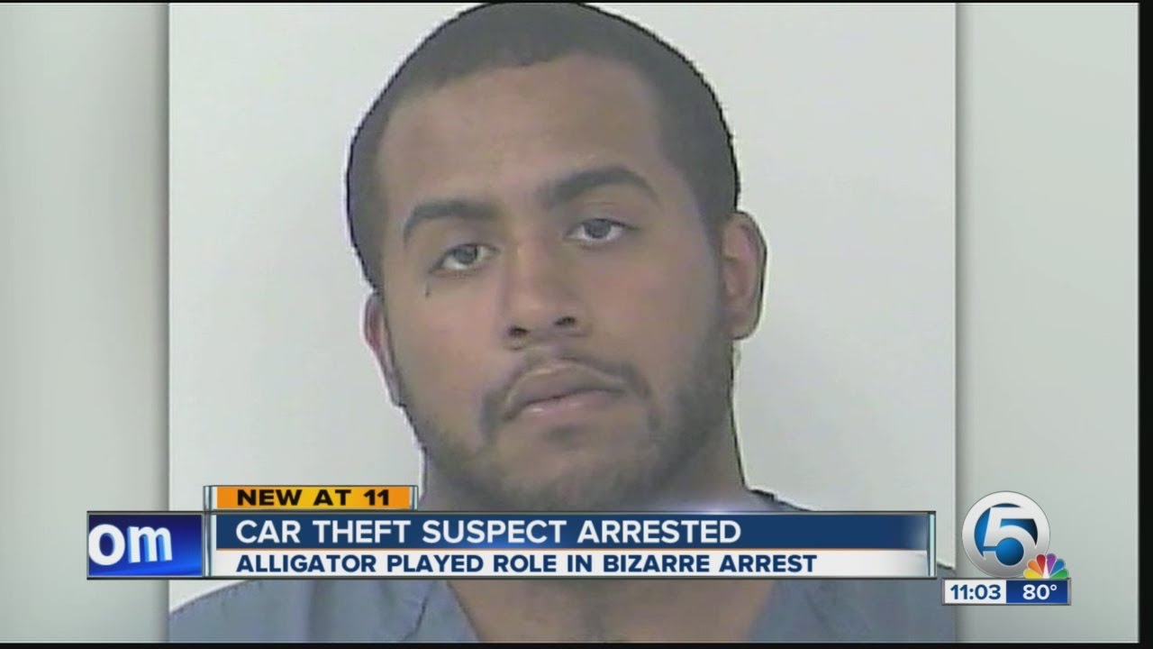 Car theft suspect arrested