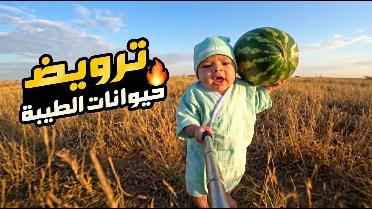 فلوق توأم الذكاء الاصطناعي | رحلة ترويض الحيوانات الطيبة! 🗺️🔥