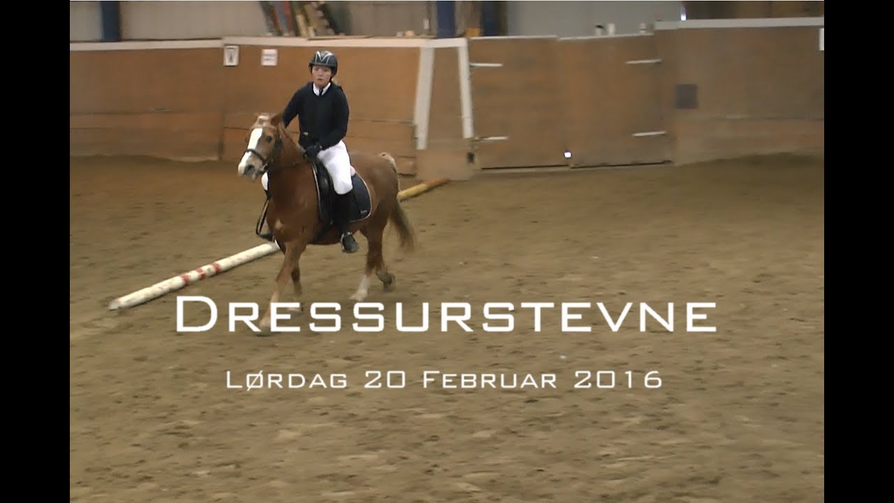 DOR Dressurstevne 20. februar 2016