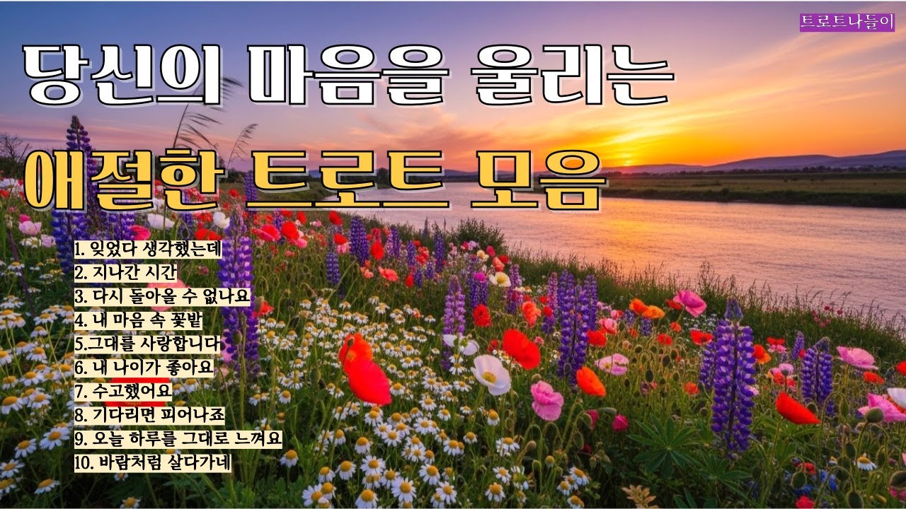 당신의 마음을 울리는 애절한 트로트 모음 10곡 #감성트로트 #감성트롯 #트로트메들리 #트로트모음