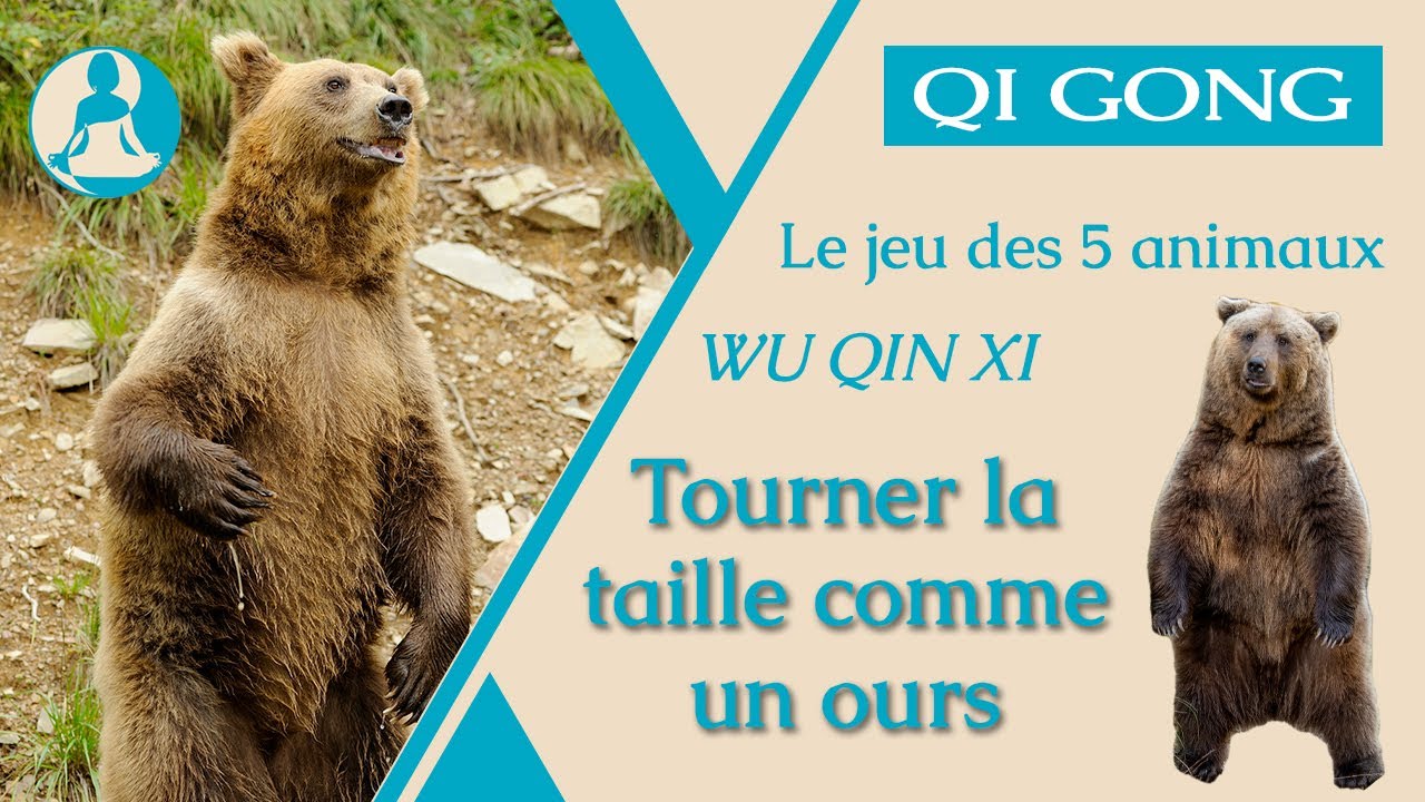 Qi Gong : Tourner la taille comme un ours, le jeu des 5 animaux
