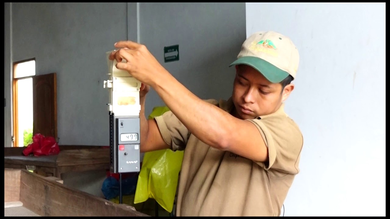 Estándares de calidad para exportar cacao