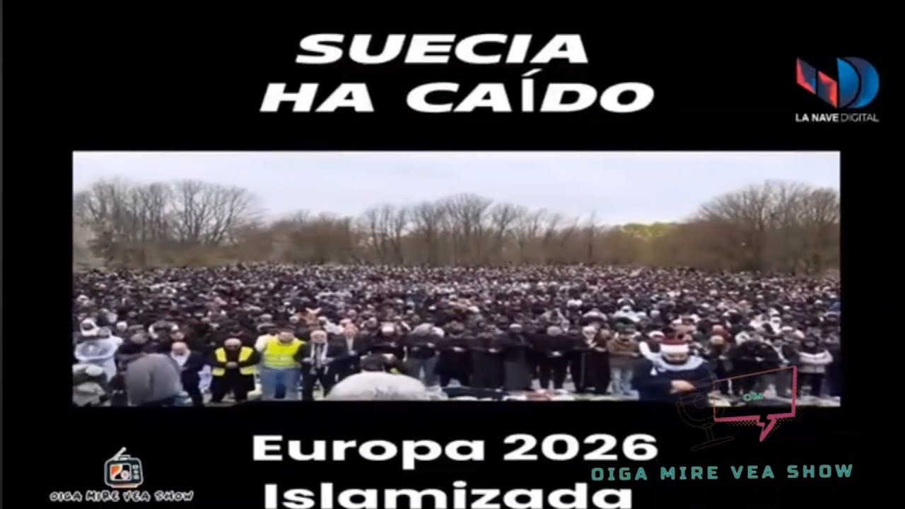 Oiga Mire Vea Show Suecia Ha Caído 