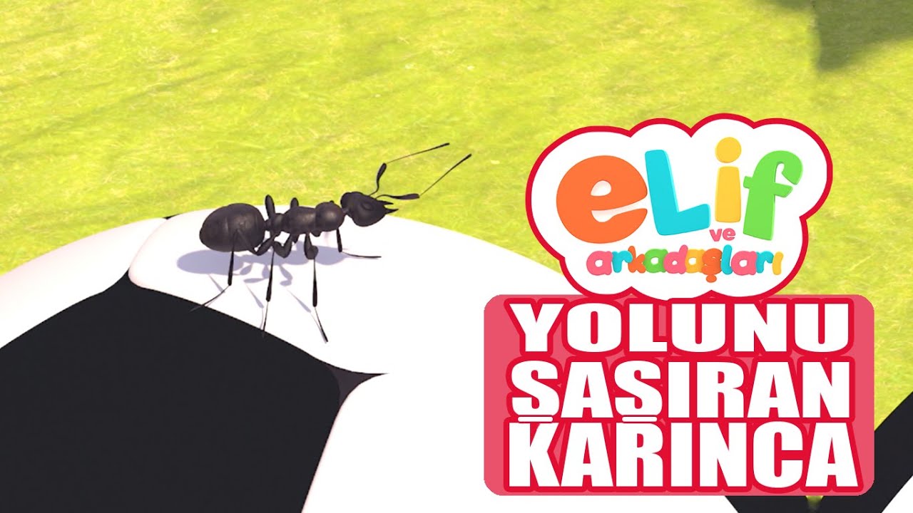 Elif ve Arkadaşları - Bölüm 28 - Yolunu Şaşıran Karınca -  TRT Çocuk Çizgi Film