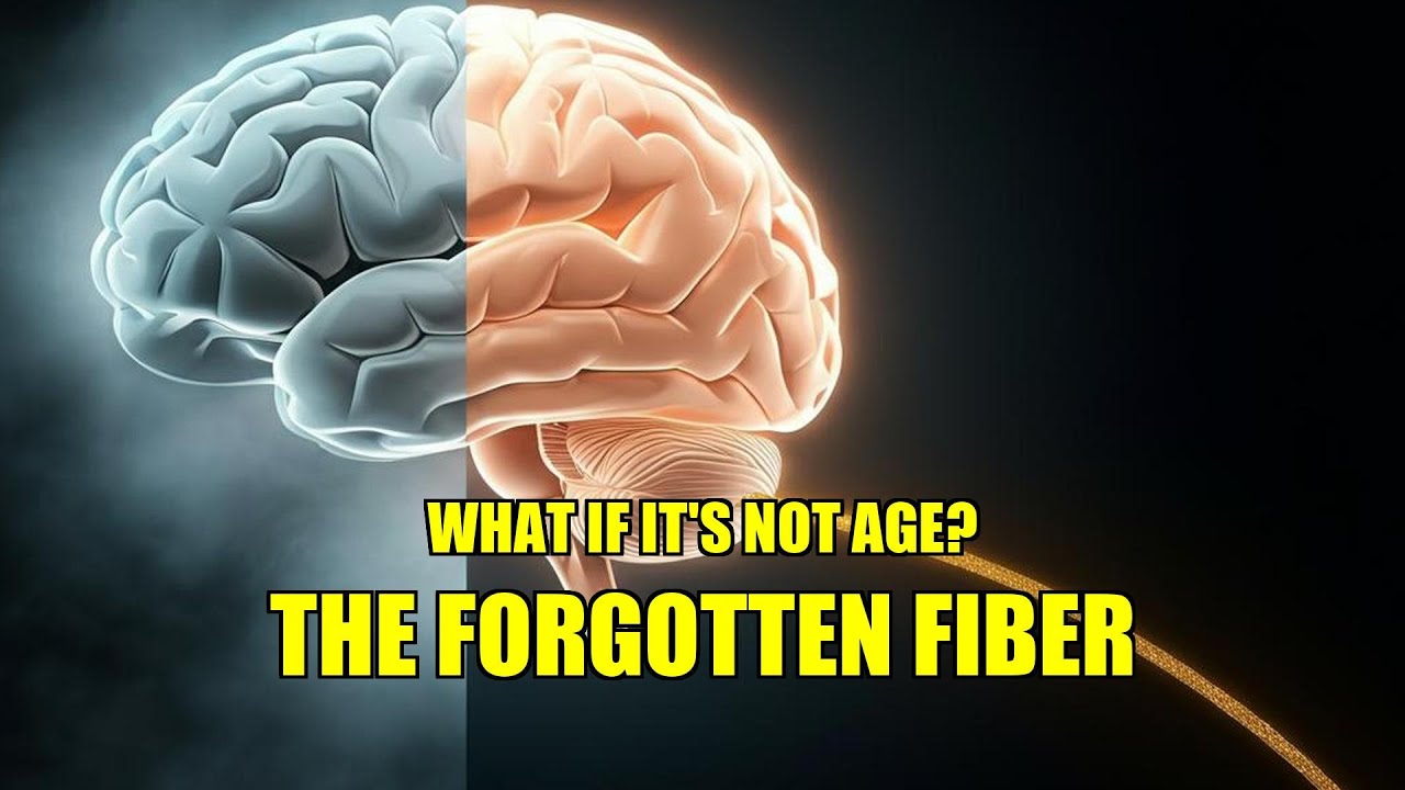 The Hidden Link Between Afternoon Brain Fog and Constant Bloating After 50