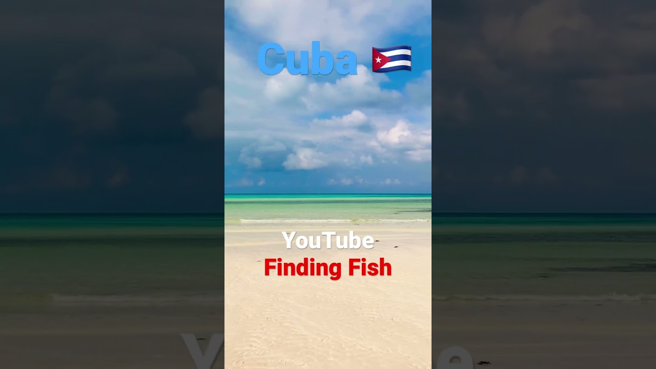 Lost in Paradise, Best Beach in the World@Finding-Fish
