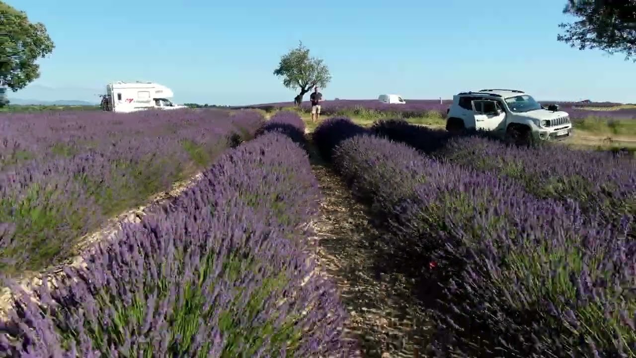 Mon pays de Manosque