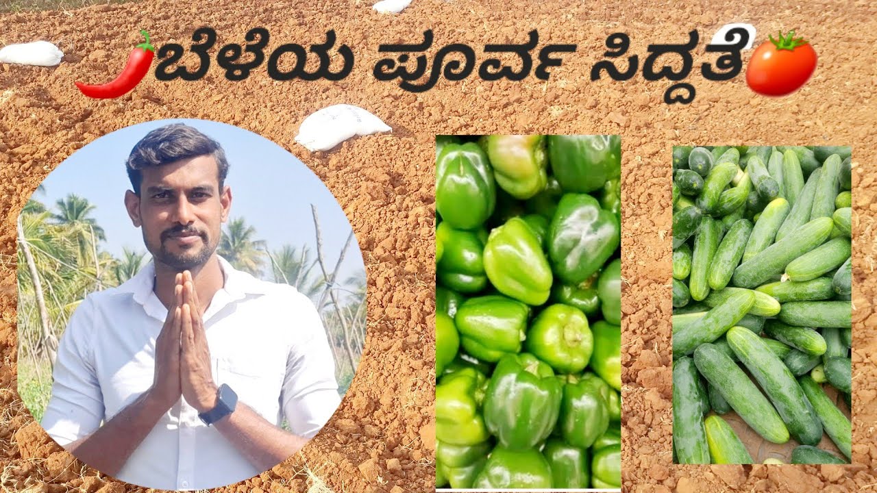 ಬೆಳೆ ಬೆಳೆಯಲೂ ಭೂಮಿ ಸಿದ್ದತೆ.,||.Land cultivation on crops.||Farmer Puneeth||