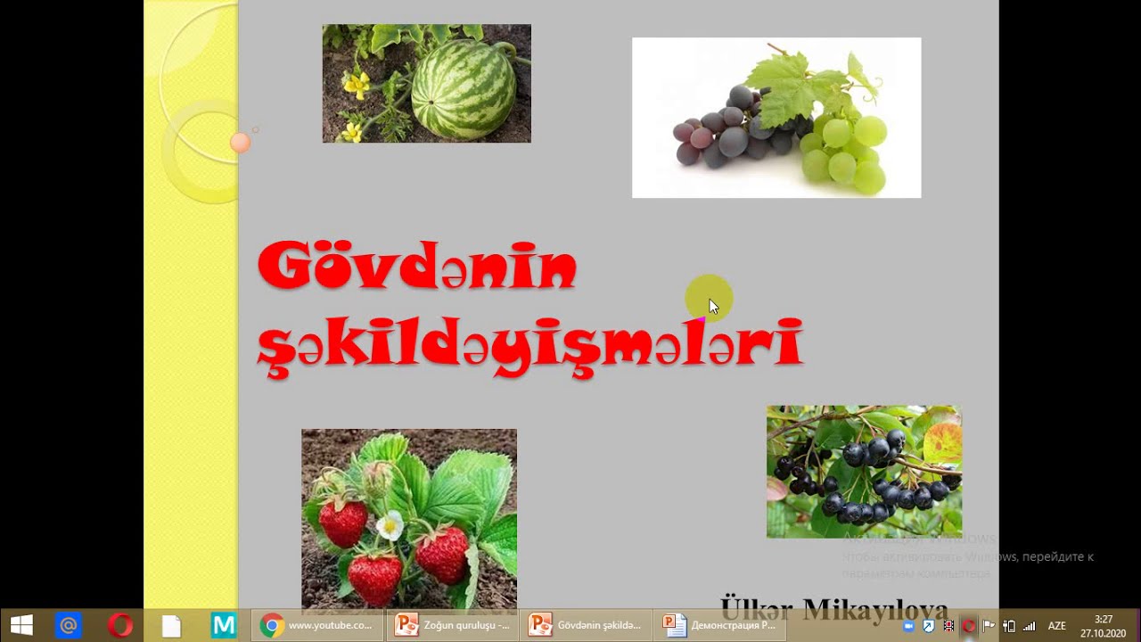 Gövdənin şəkildeyişmələri