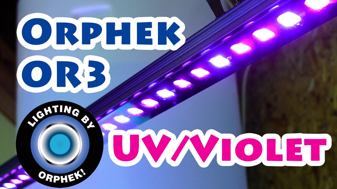 【海水魚】 サンゴ用 LEDライト Orphek OR3 の設置方法【UV/Violet】
