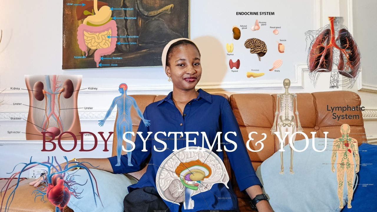 Your Body Works in Systems...Here's What You Should Know About It.
