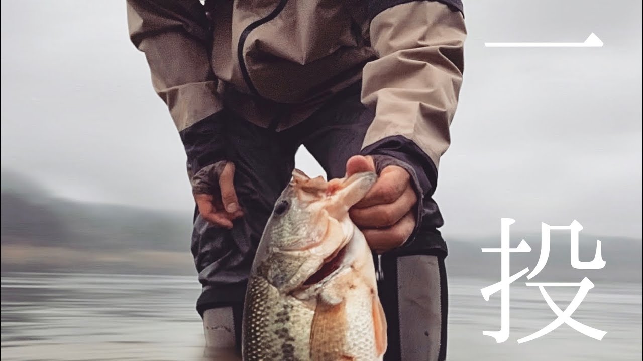 【秋のバス釣り】誕生日に一投して帰る