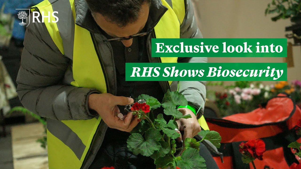 Exclusive look into RHS Shows Biosecurity | The RHS