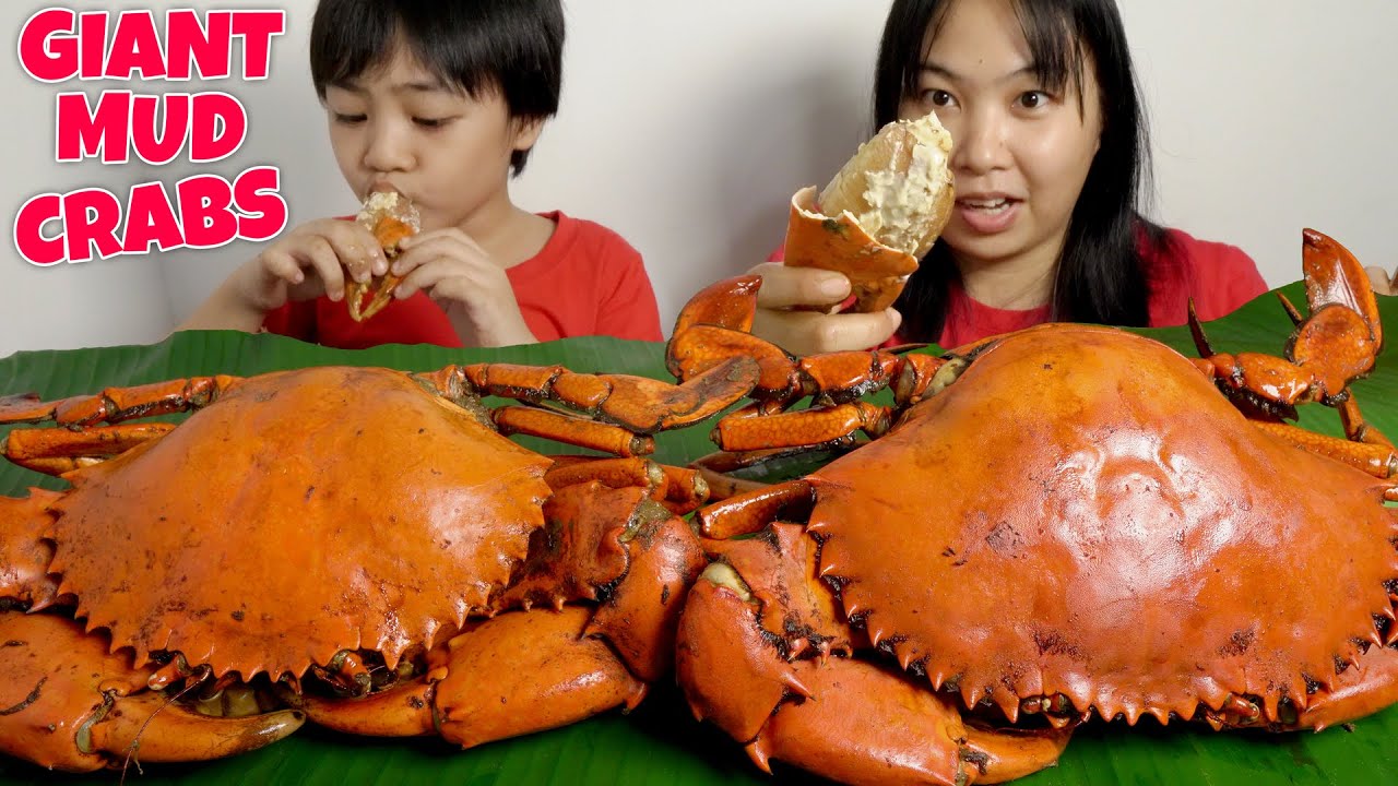 EATING GIANT MUD CRABS - Super Yummy !