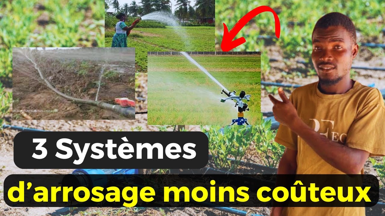 Les Systèmes d'Irrigation et leurs Modes de Fonctionnement