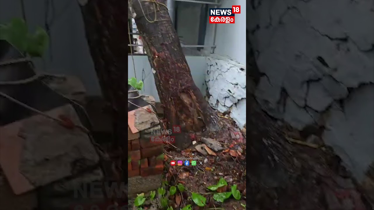 തിരുവനന്തപുരം വീണ്ടും മഴക്കെടുതിയിൽ; വ്യാപക നാശനഷ്ടം | Kerala Rain Alert Today |Heavy Rainfall |N18S