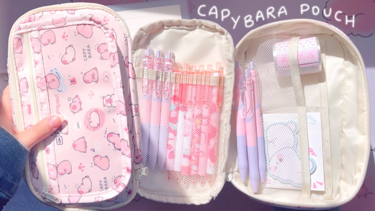 🌸Kawaii Stationery Haul ft. Temu!🌸 Pink Capybara Pencil Pouch, notebook, pens, stickers
