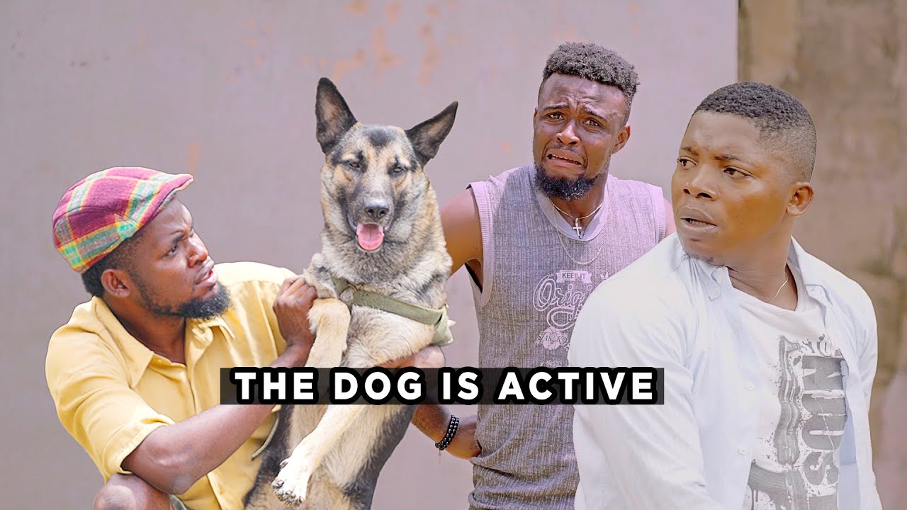 The Dog Is Active (Best Of Mark Angel Comedy)