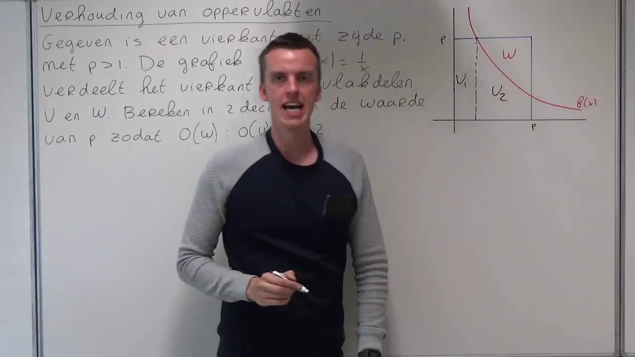 Verhoudingen van oppervlakten (VWO wiskunde B)