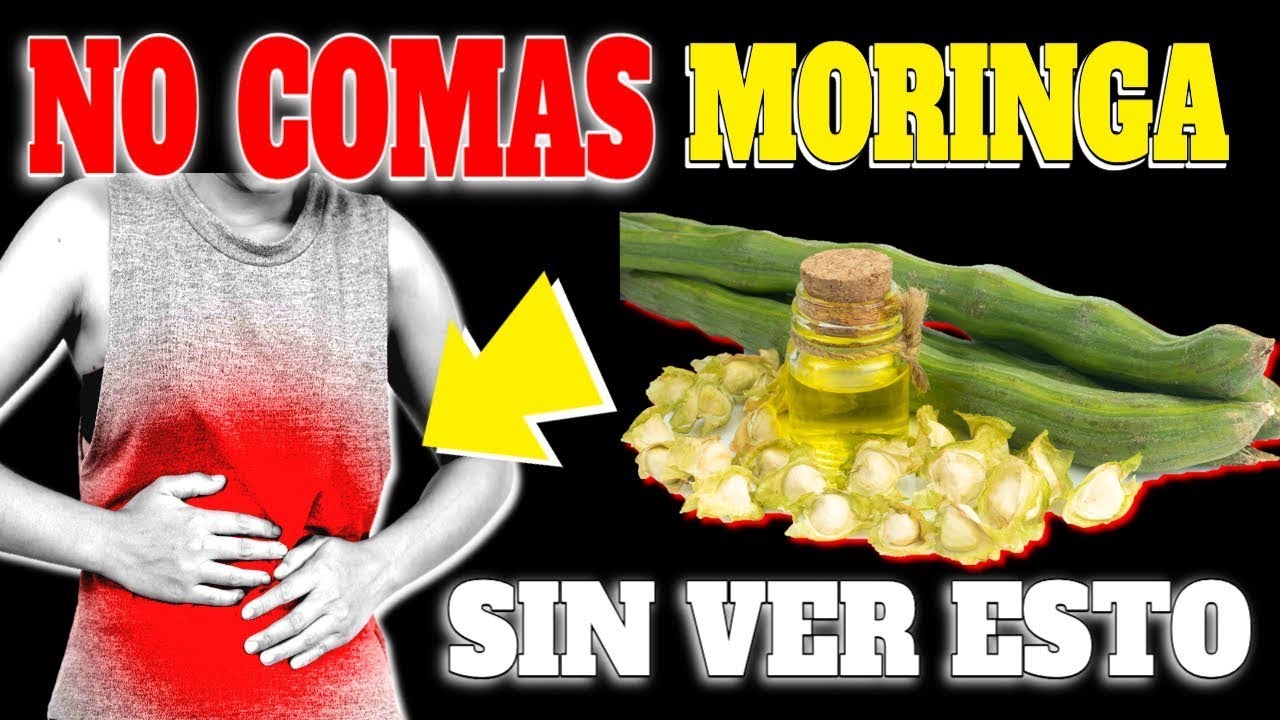 ¡ALERTA! El PELIGRO de la MORINGA es que NO LA TOMES!| INCREIBLES BENEFICIOS