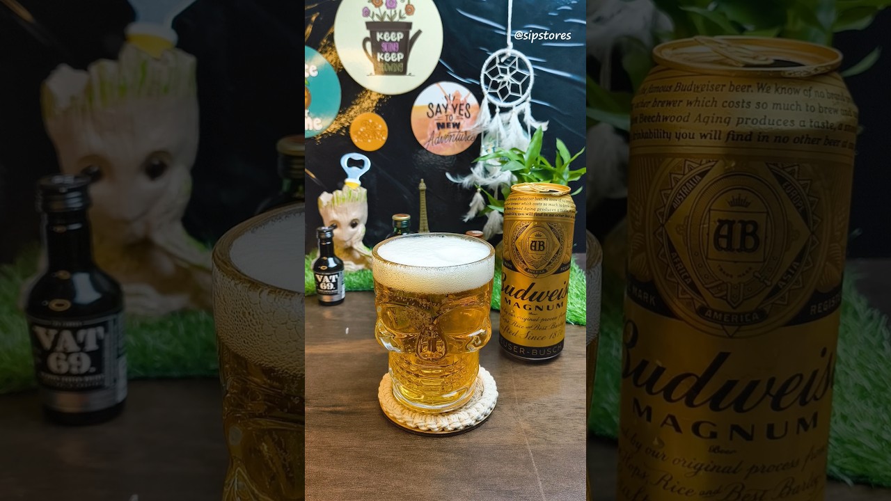 Budweiser Magnum Strong Beer Review | Bold Taste with a Smooth Finish #asmr #ytshorts #shotsvideo