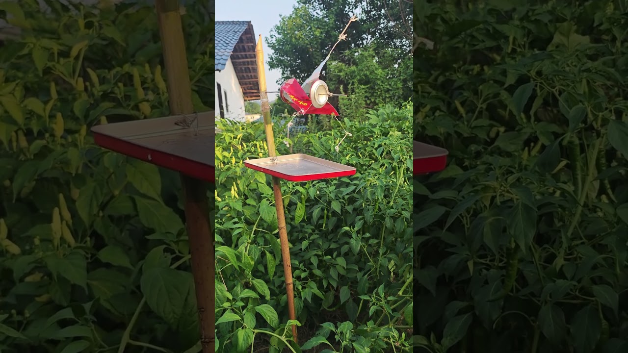 Simple wind-powered bird repellent