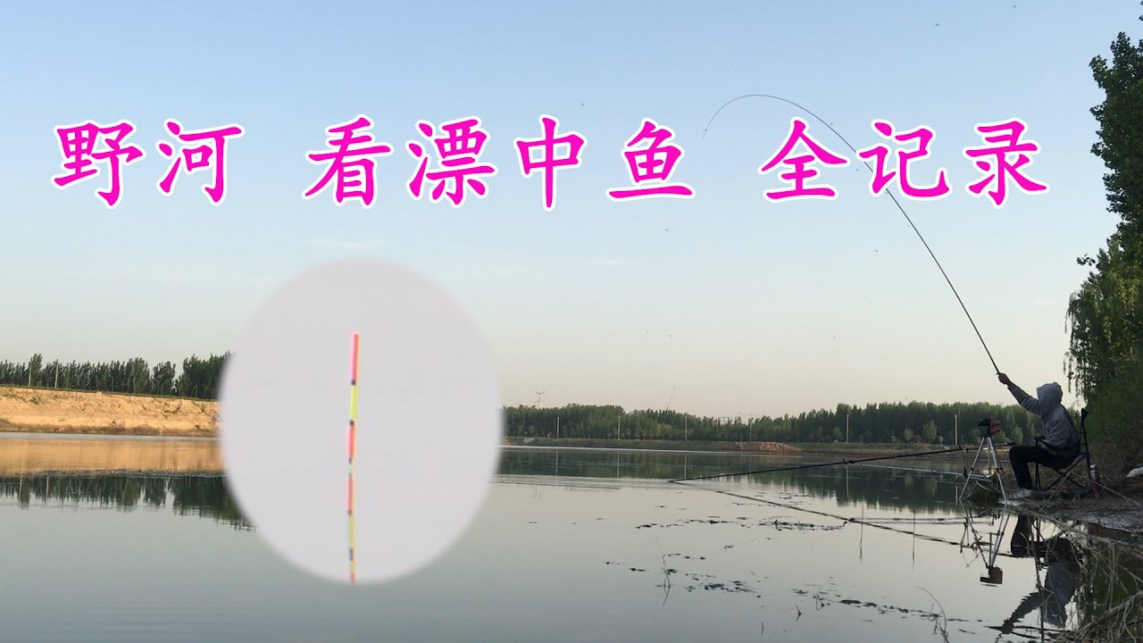 中国手竿台钓中鱼全过程 附带漂相 喜欢的来看一下吧#fishing #fisherman #fishinglife #fishingvideo