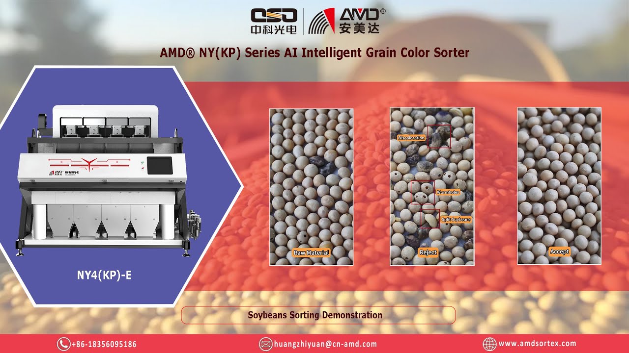AMD&reg; Soy/Soya Bean Sorting Machine Price NY4(KP)-E AI Intelligent Grain Beans Optical Color Sorter