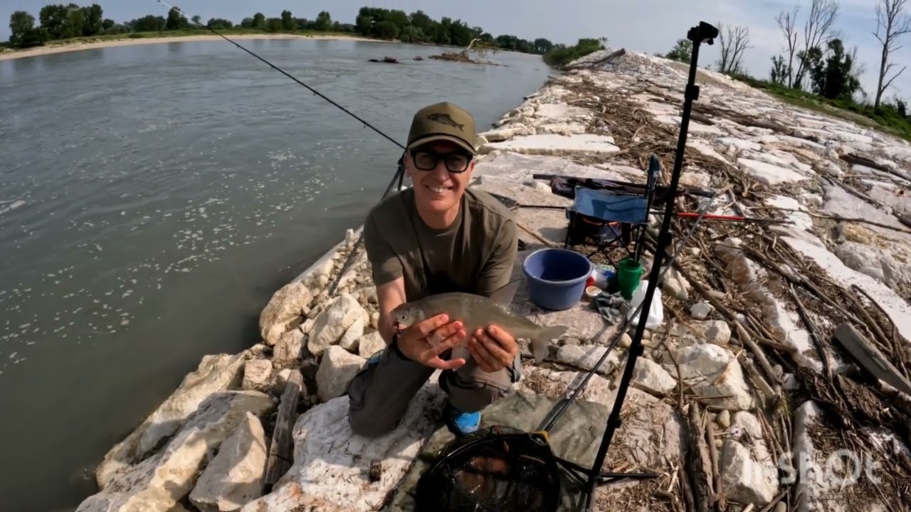 Feeder: Una bella pesca e un 