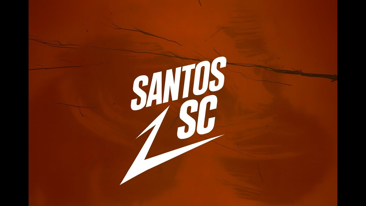 MEGA FUNK BOTA AMOR - SANTOS SC