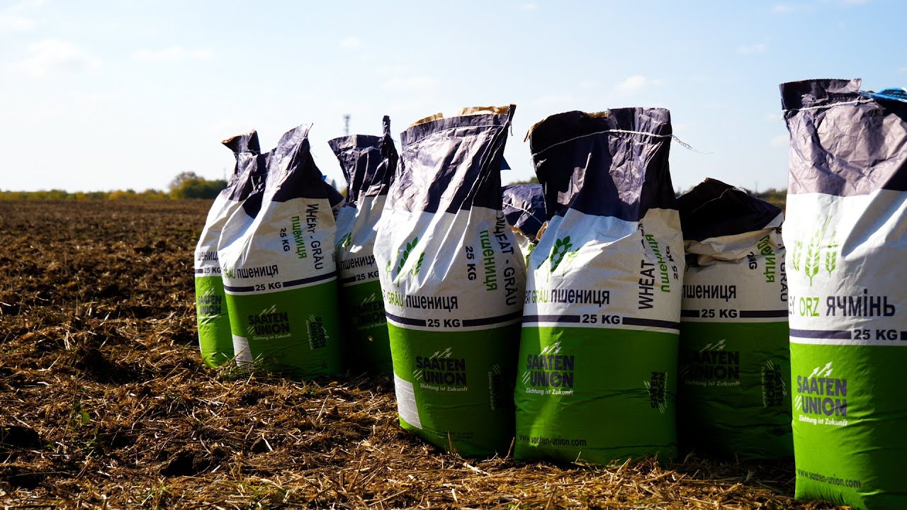 SAATEN UNION: Semănatul grâului la platforma AGROSHOW 2022