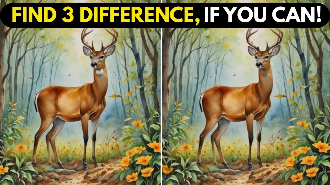Find 3 Differences, If u can | Spot the 3 Differences Challenge | #quizgames #spotthedifferencegame