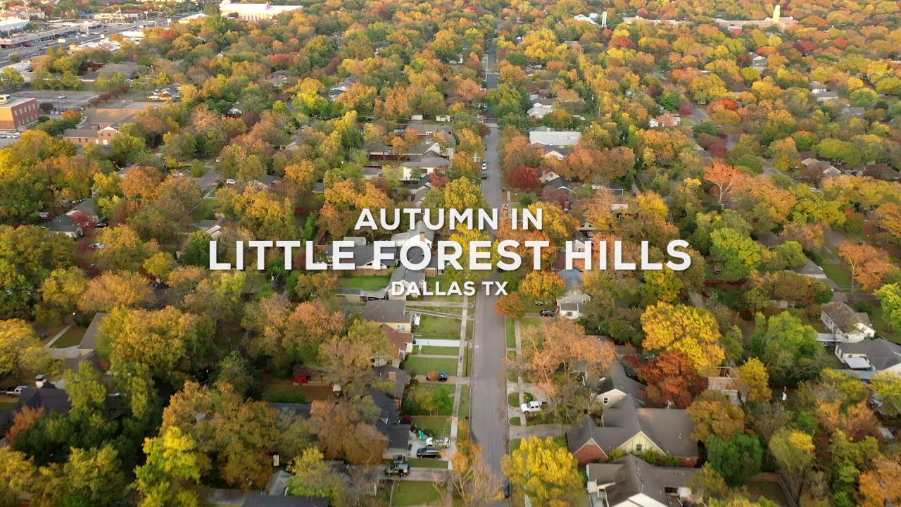 Autumn in Little Forest Hills