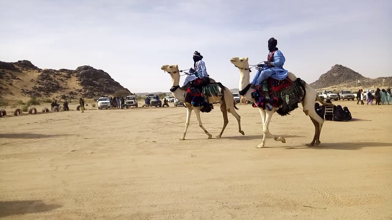 نادر شاهد قبل الحذف .. مهرجان عيد الجمل بتيمياوين متع ناظريك