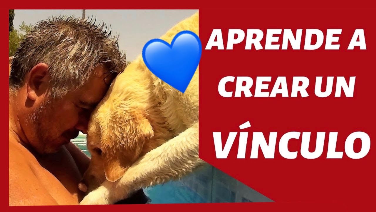 APRENDE a CREAR un VÍNCULO ESPECIAL con tu PERRO ❤️ (FUNCIONA!!!) ✅