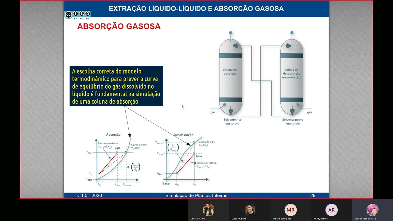 Coluna de absorção gasosa: conceitos básicos e configuração no COCO