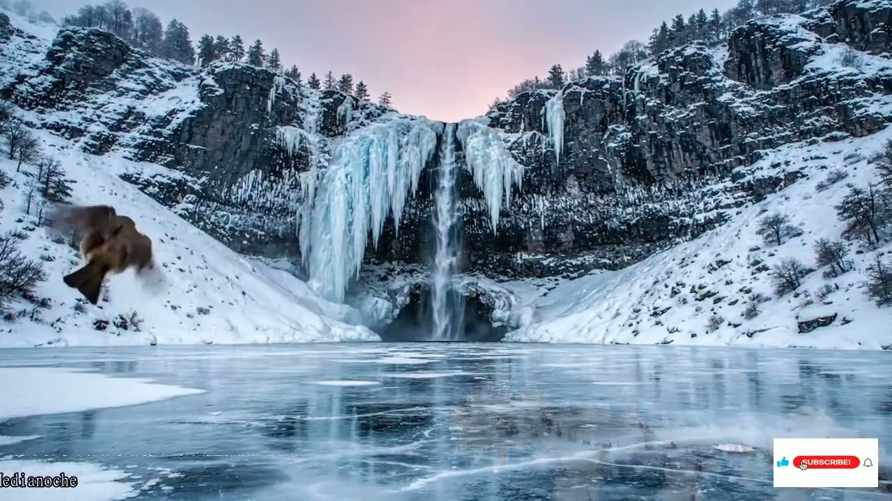 4 Amanecer Nost&aacute;lgica del Pasado Amanecer Infinita de Medianoche